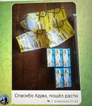 29CF4598-FB53-410E-852F-AA0280E46EBE.jpeg 29CF4598-FB53-410E-852F-AA0280E46EBE.jpeg