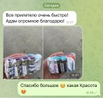 IMG_3798.jpeg IMG_3798.jpeg